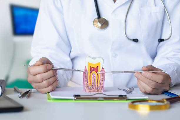 Best Emergency Orthodontic Repairs in Eastpoint, FL